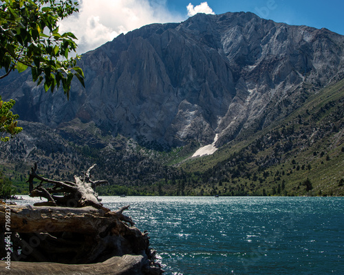 Convict Lake with tree stump photo