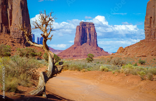 Monument Valley with twisted tree © Juli