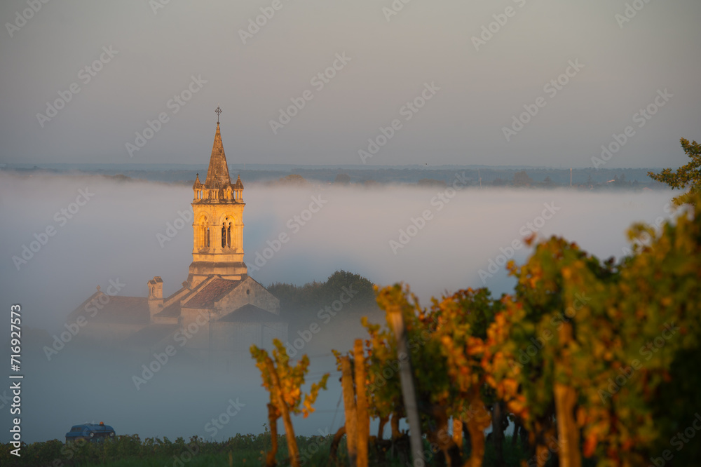 Sunset landscape and smog in bordeaux wineyard, Loupiac church, France, Europe, High quality photo
