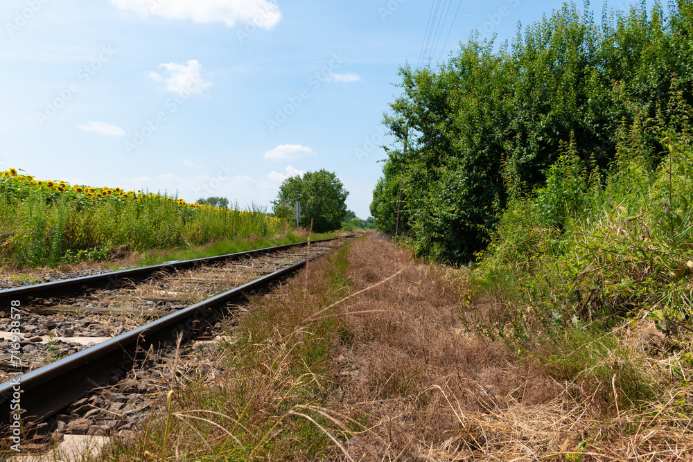 Fototapeta premium railway in the countryside