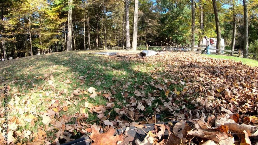 time lapse woman blowing and raking the leaves in the backyard in the fall time lapse woman blowing and raking the leaves in the backyard in the fall