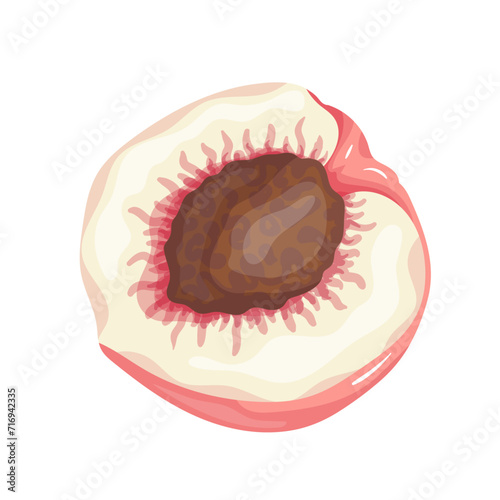 A piece of ripe, juicy peach and nectarine fruit. Vector graphics.