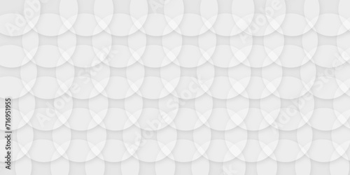Fototapeta Naklejka Na Ścianę i Meble -   Abstract white, gray background with circles. background white in cover design, book design, website background. digital technology wallpaper used in the corporate in design. geometric circle pattern