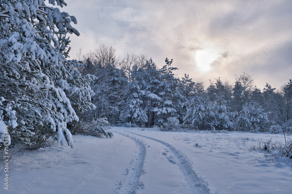 Obraz premium Snow landscape in January, winter impressions