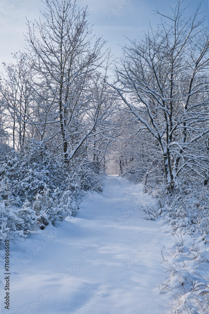 Snow landscape in January, winter impressions Snow landscape in January, winter impressions