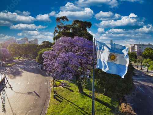 Argentine flag flying with a jacaranda tree