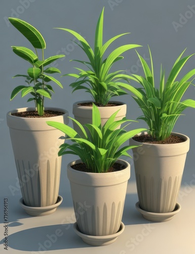 green plants in a flower pot