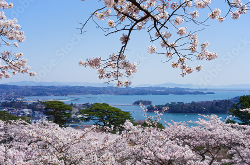 春の日本三景松島（宮城県松島町） photo