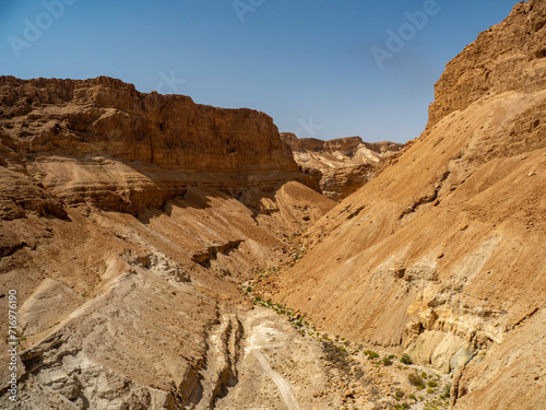 canyon in the desert