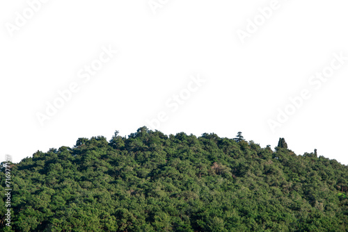 Beautiful green hill isolated background. 