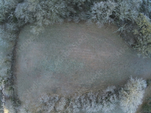 Paysage d'hivers, carré d'arbres givrés