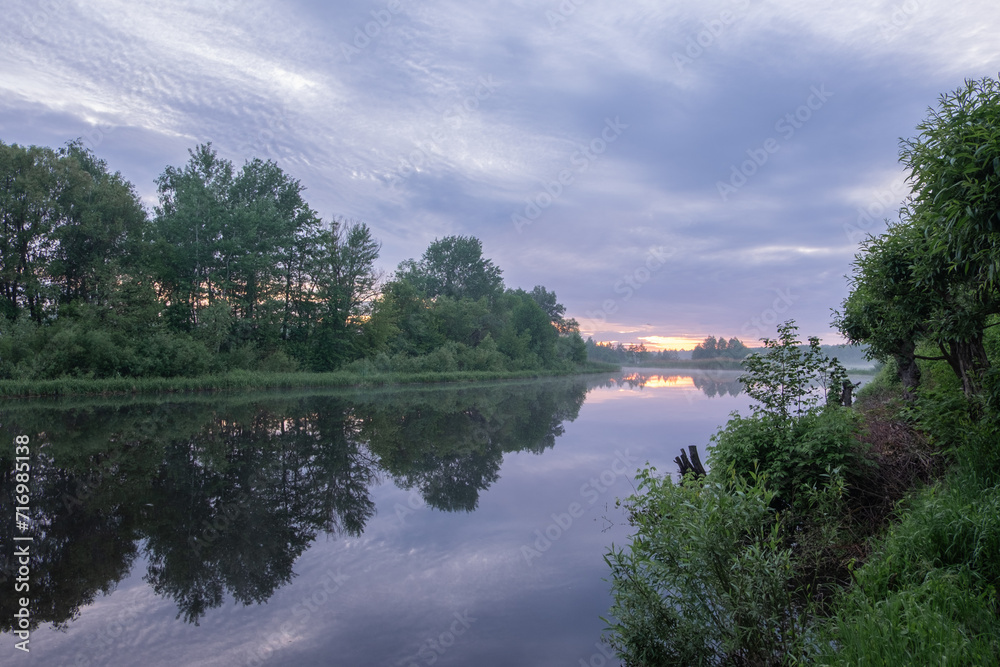 lake in the forest