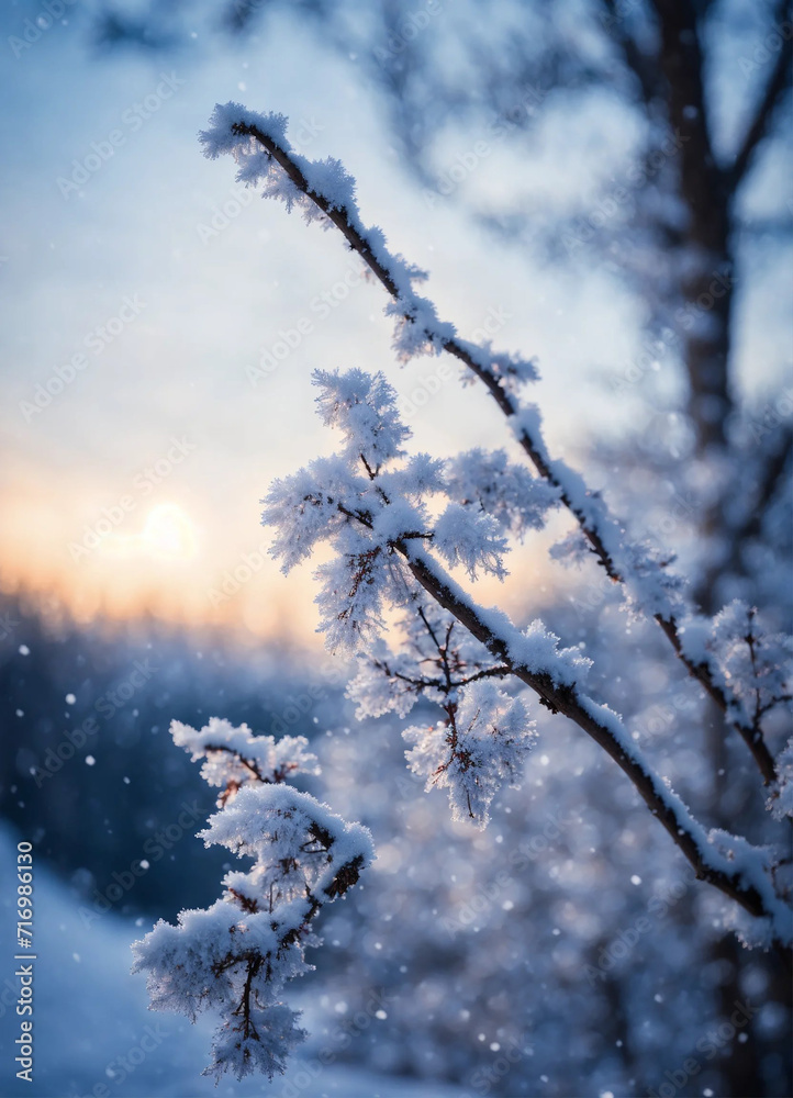 snowflakes on snowy tree branch, blur background, winter photography snowflakes on snowy tree branch, blur background, winter photography