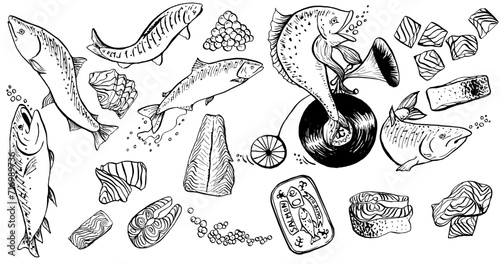 Set of salmon fish vintage hand drawn ink vector illustration. Canned food, fillet, pieces, caviar, salmon on a bicycle music vinyl.