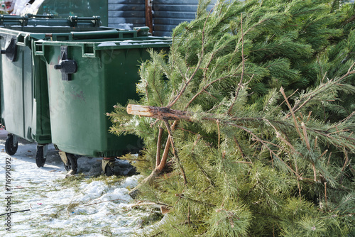 Fotografija Post holiday, discarded Christmas tree restss near trash cans, its festive spirit now replaced by quiet solitude of the snowy surroundings