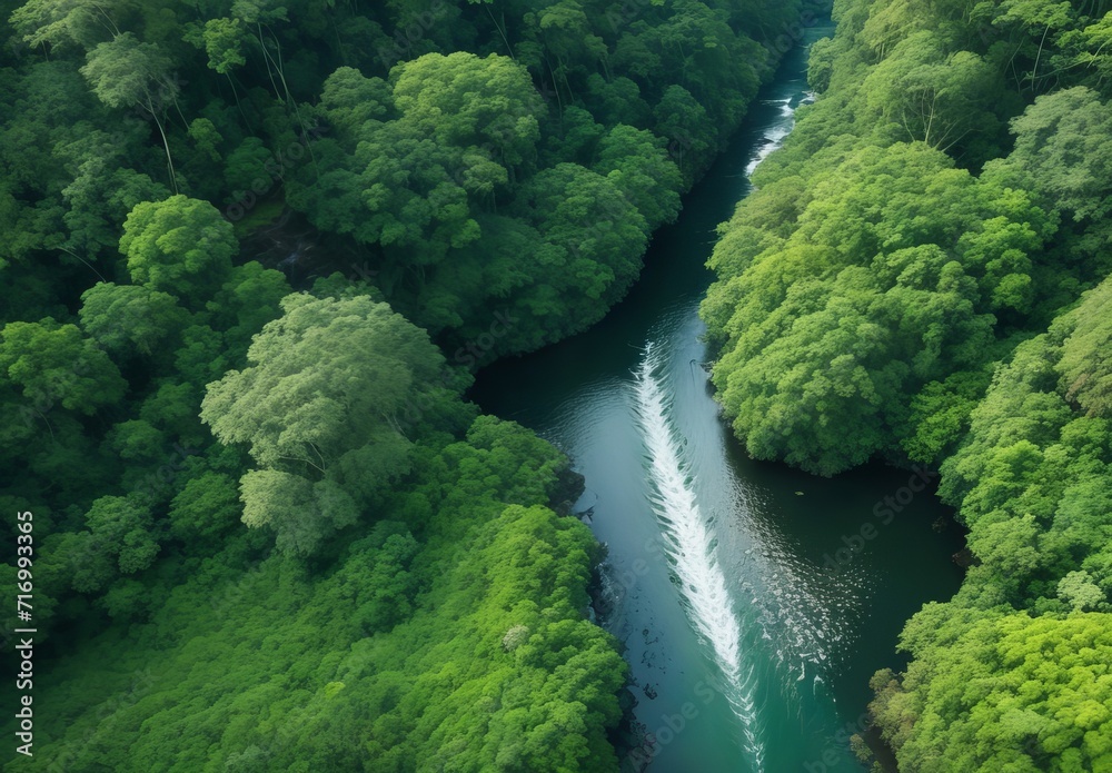 River in rainforest drone view