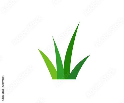 Green grass. Gazon. Vector icon. web version.