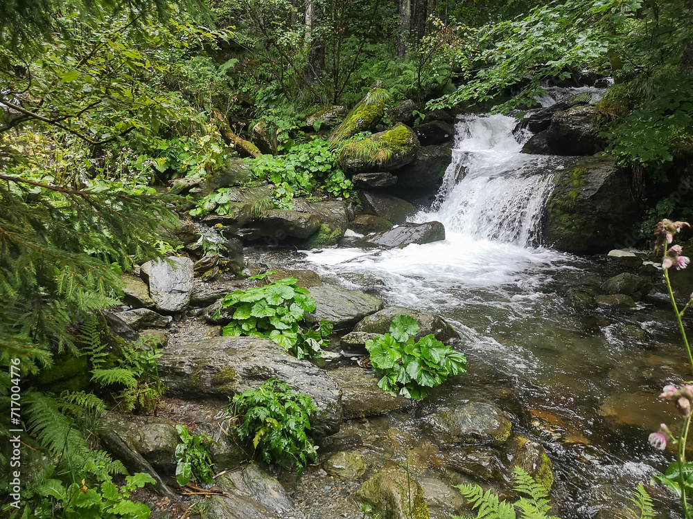 Waterfall in the forest. beautiful forest with a magical view. Tourist destination. A natural landmark. Waterfall in the forest. beautiful forest with a magical view. Tourist destination. A natural landmark.