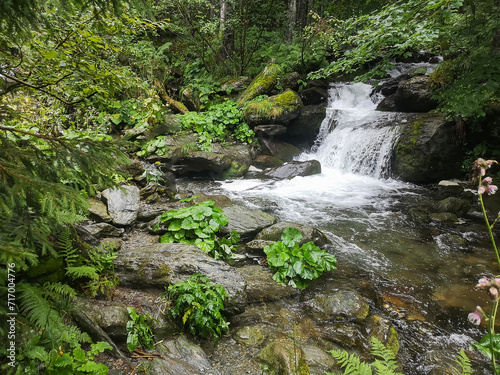 Waterfall in the forest. beautiful forest with a magical view. Tourist destination. A natural landmark.
