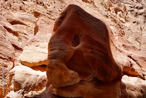 elephant rock in desert photo