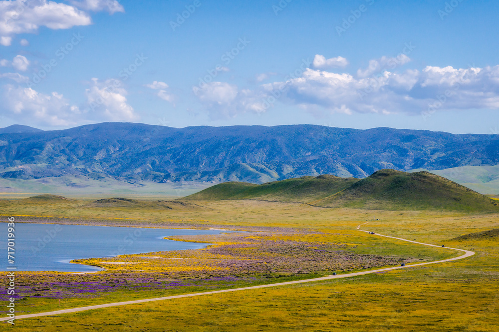 Carrizo Plain National Monument in central California is covered in swaths of yellow, orange and purple from a super bloom of wildflowers.