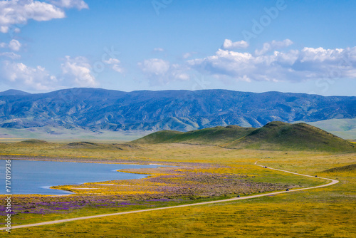 Carrizo Plain National Monument in central California is covered in swaths of yellow, orange and purple from a super bloom of wildflowers. photo
