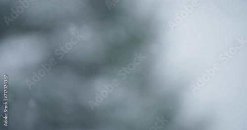 Slow motion grey sky snowflake accumulation snow covered tree coniferous pan left photo
