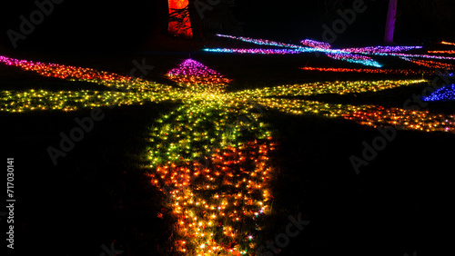 Mainau, Germany - December 27, 2023: A Christmas garden is a Christmas event with beautiful light creations and illuminations on the island of Mainau on Lake Constance