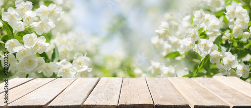 Fototapeta Naklejka Na Ścianę i Meble -  Empty wooden table and jasmine flowers blooming on a bush in a garden