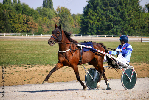 Competitions for trotting horse racing © goce risteski