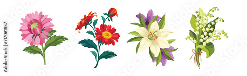 Blooming Flower on Green Stem as Garden Botany Vector Set