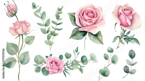 Watercolor elements pink roses, flowers, leaves, eucalyptus, branches set collection for wedding stationary, invitation card, greeting, wallpaper, fashion, isolated on transparent background photo