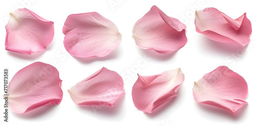 Collection of soft pink flower petals isolated on a white background