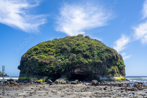 A Rocky Outcrop on a Beach Covered in foliage and Plants on Chiloe Island with the Pacific Ocean in the Background