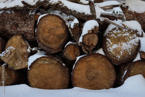 stack of wood in the snow