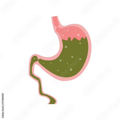 Stomach with juice, food in cartoon flat style isolated on white background. Anatomy of normal healthy stomach after eating. Anatomy structure of the organ, esophageal and duodenal sphincter.