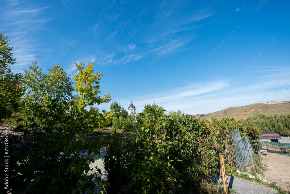 Obraz premium view of the river