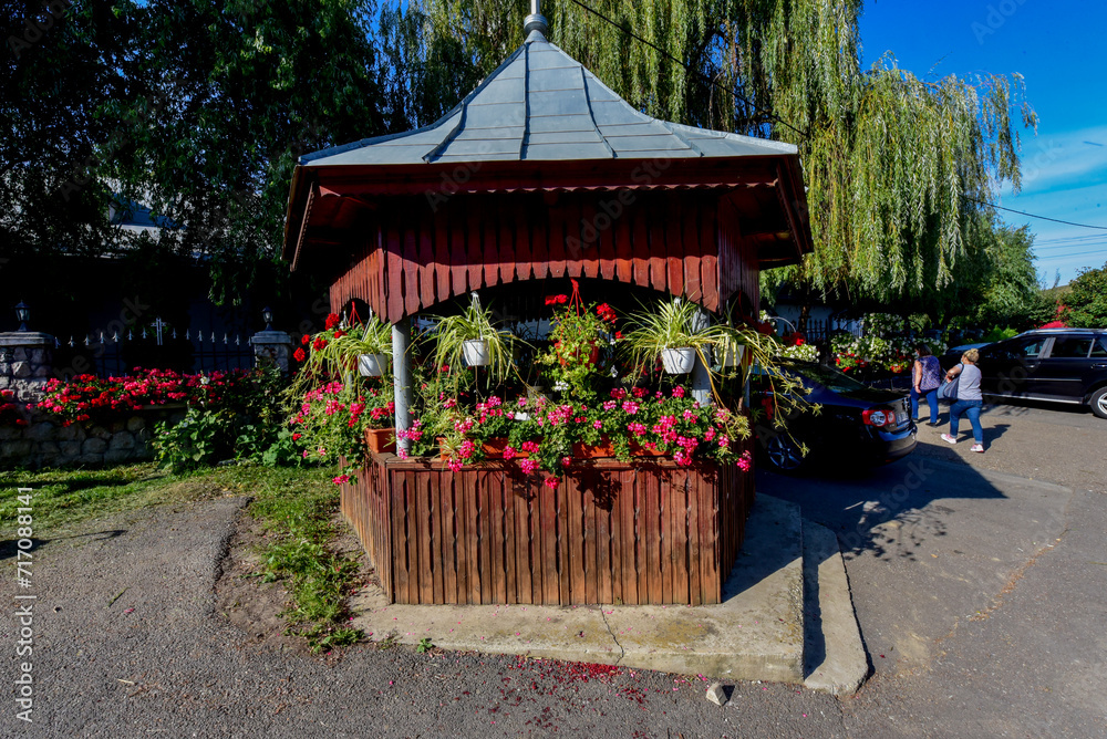 Naklejka premium flowers in the garden