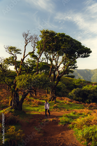 Persona paseando sobre un bosque centenario (ID: 717090397)