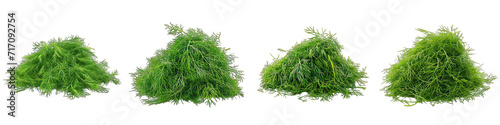 Dill  Spices Pile Of Heap Of Piled Up Together Hyperrealistic Highly Detailed Isolated On Transparent Background Png File