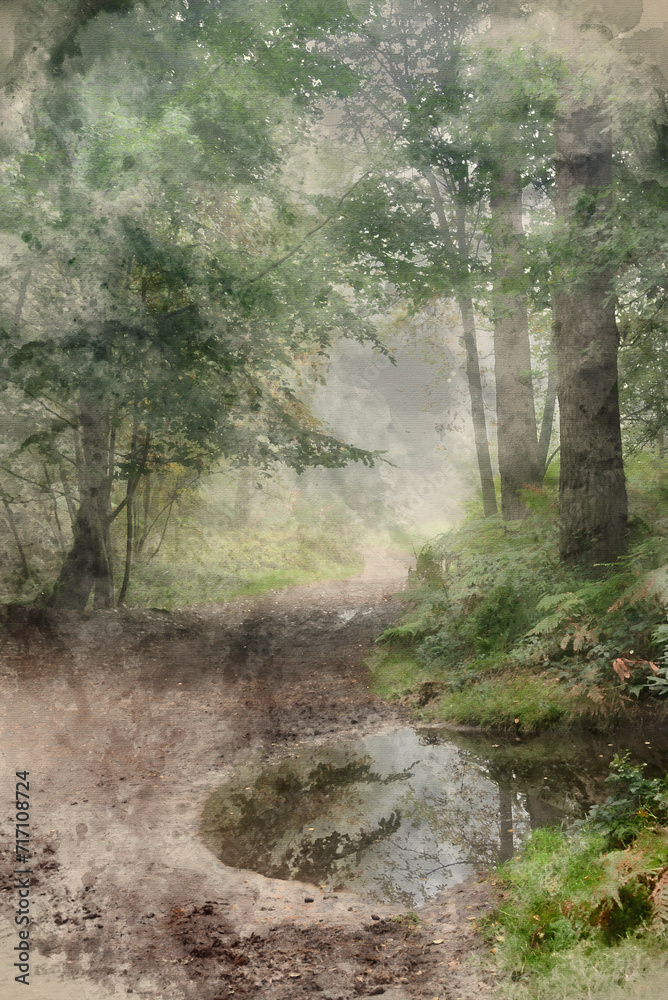 Digital watercolour painting of Stunning foggy forest late Summer landscape image with glowing mist in distance among lovely dense woodland Digital watercolour painting of Stunning foggy forest late Summer landscape image with glowing mist in distance among lovely dense woodland