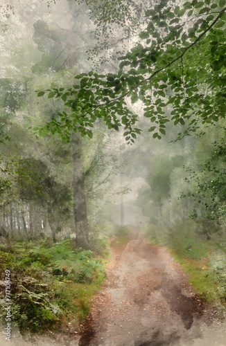 Digital watercolour paintin...