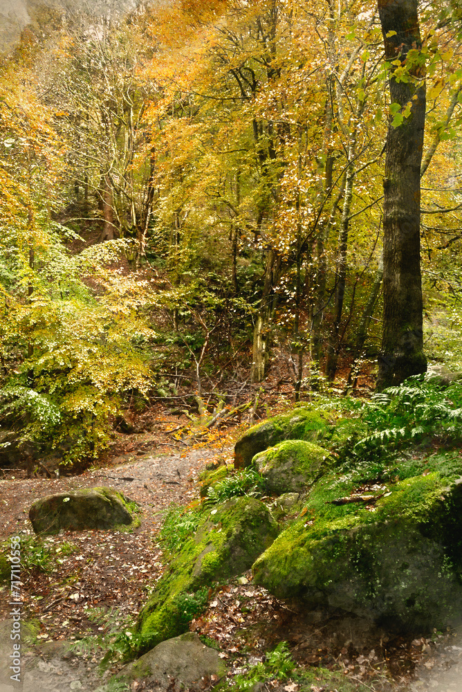 Obraz premium Digital watercolour painting of Beautiful Autumn landscape image of woodland and golden leaves and river running through deep valley below in Peak District National Park