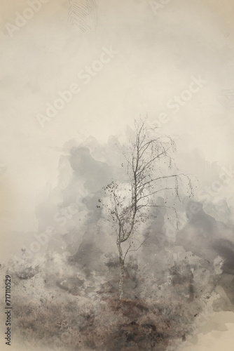 Digital watercolour painting of Beautiful dramatic foggy landscape image of trees on the edge of a draamtic forest in Peak District