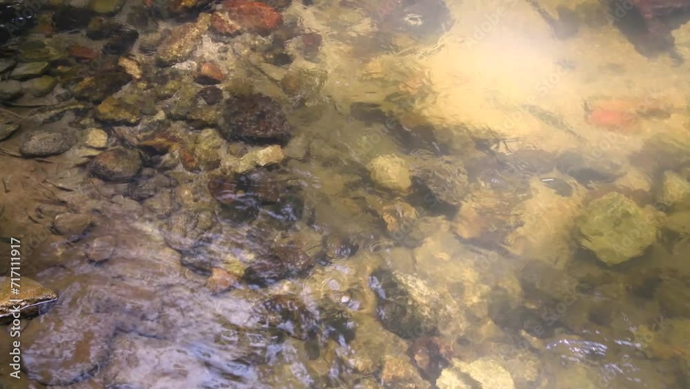 Rock bottom detail in a river in a rainforest Rock bottom detail in a river in a rainforest