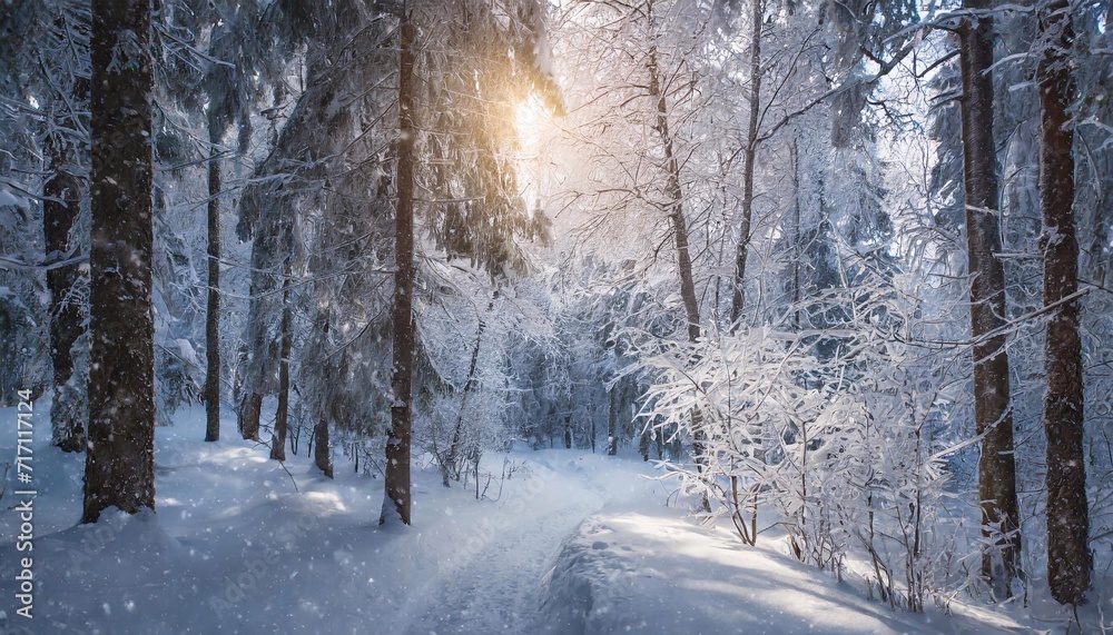 A forest road on a frosty clear day. A forest road on a frosty clear day.