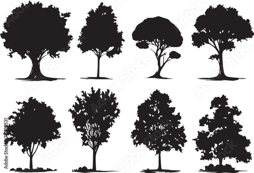 Set Trees. Hand drawn vector illustration