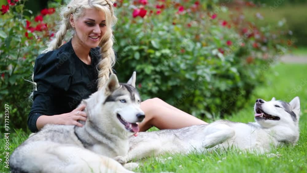 Woman with queues sitting on grass and stroking two dogs Huskies Woman with queues sitting on grass and stroking two dogs Huskies