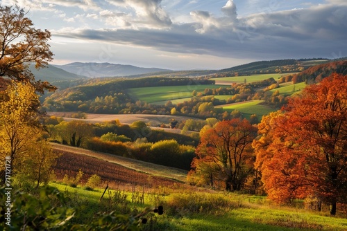 Zauberhafte Landschaft im Herbst  sonniges Panorama von l  ndlicher Idylle