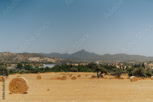 Field in Cyprus